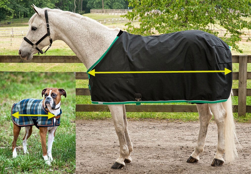 Wool Dress Sheet Integrity Linens