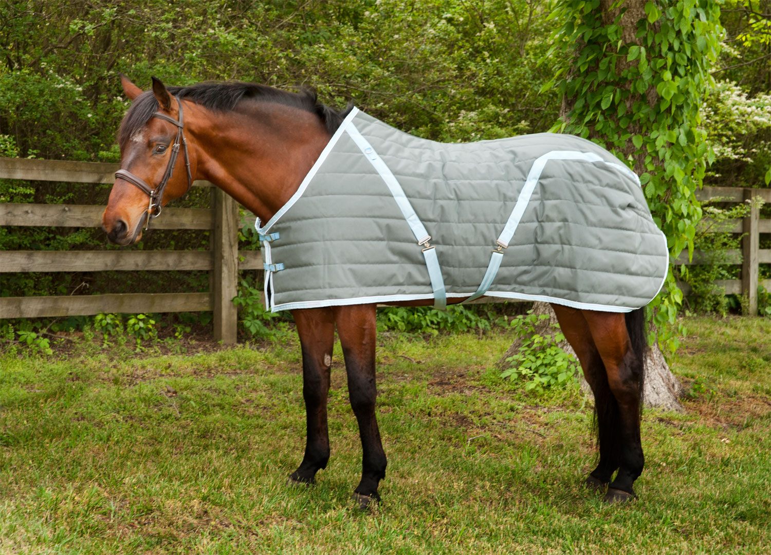 NEW 68" STABLE BLANKET HUNTER GRN COLOR WITH NAVY NYLON REINFORCED STRAPS POLY 