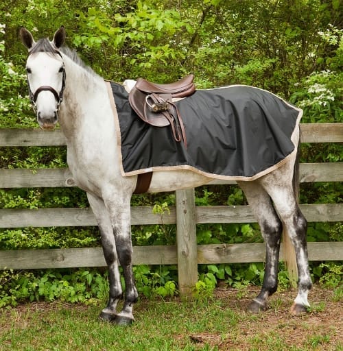 Custom horse blankets from Integrity Linens
